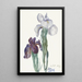 Iris - Sientje Mesdag van Houten — kehystetty taideteos seinällä