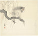 Singe sur une branche d'arbre - Ohara Koson — näkymä teoksesta