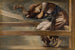 La Rose Églantine -sarja, luonnos Maalaus La Cour du Jardin V - Sir Edward Coley Burne-Jones — näkymä teoksesta