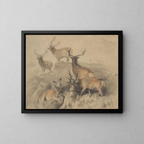 Jotkut metsän kauneimmista hirvistä - Sir Edwin Henry Landseer — kehystetty taideteos seinällä