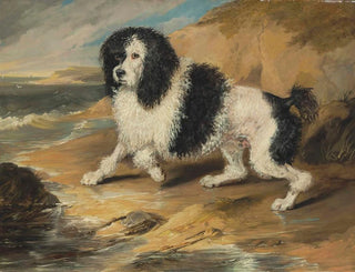 Le caniche tapageur appartenant à l'honorable Frederick Byng - Sir Edwin Henry Landseer — näkymä teoksesta