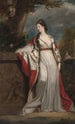 Elizabeth Gunning, Hamiltonin ja Argyllin herttuatar - Sir Joshua Reynolds — näkymä teoksesta