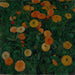 Soucis - Koloman Moser — näkymä teoksesta
