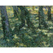 Maalauksen jäljennös Metsäaluskohdasta - Vincent van Gogh