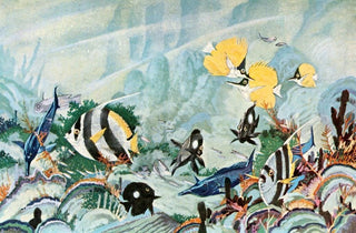 Stephen Haweis - Colorful fishes of the Hawaiian shore.webp