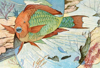 Stephen Haweis - Parrot fish.webp