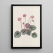Cyclamen rannikollinen - Sydenham Edwards — kehystetty taideteos seinällä