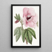 Hibiskus loistava - Sydenham Edwards — kehystetty taideteos seinällä