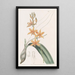 kananmunankeltainen Epidendrum | Sydenham Edwards — kehystetty taideteos seinällä