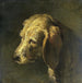 Tête de chien - Nicolas Toussaint Charlet — näkymä teoksesta