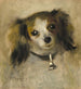 Tête de chien - Pierre-Auguste Renoir — näkymä teoksesta