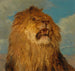 Tête de lion relevée - Rosa Bonheur — näkymä teoksesta