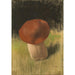 Maalauksen jäljennös The Mushroom - Franz von Stuck