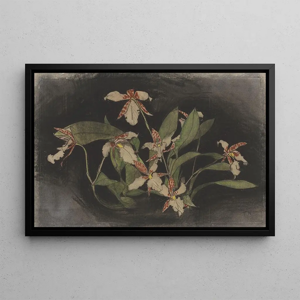 Theo Nieuwenhuis - Bloeiende orchideentak.webp