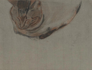 Theo Nieuwenhuis - Liggende kat.webp