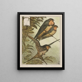 Theo van Hoytema - Drie zwaluwen.webp