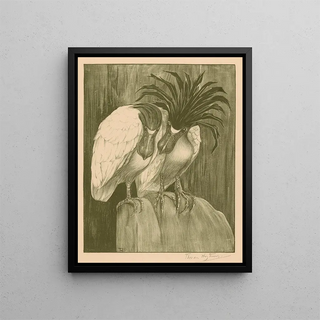 Theo van Hoytema - Twee schuitbekreigers.webp