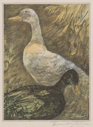 Theo van Hoytema - Twee staande eenden.webp