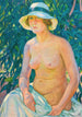 Alaston Panamassa - Theo van Rysselberghe — näkymä teoksesta