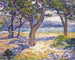 La Méditerranée à Le Lavandou - Theo van Rysselberghe — näkymä teoksesta