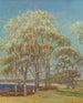 Marais d'Ipswich - Theodore Wendel — näkymä teoksesta