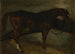 Brun hevonen - Théodore Géricault — näkymä teoksesta