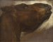 Étude d'un cheval mort - Théodore Géricault — näkymä teoksesta