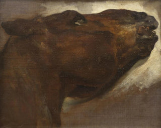 Étude d'un cheval mort - Théodore Géricault — näkymä teoksesta