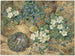 Luonnonkuva still life with a bird's nest, violets, primroses and apple blossoms - Thomas Frederick Collier — näkymä teoksesta