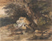 Metsäinen lampi kivineen ja kasveineen - Thomas Gainsborough — näkymä teoksesta