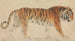 Un Tigre - Thomas Stothard — näkymä teoksesta