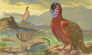 Thomas Waterman Wood - Horned Pheasants.webp