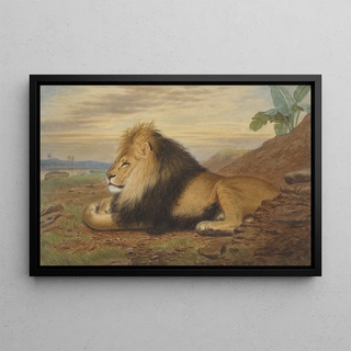 Thomas William Wood - A Lion.webp