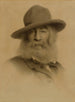 Walt Whitman - Thomas Wilmer Dewing — näkymä teoksesta