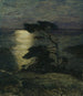 Pin sur la côte au clair de lune - Thorolf Holmboe — näkymä teoksesta