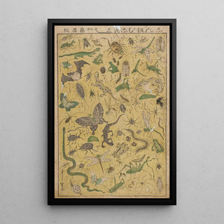 Tsukioka Yoshitoshi - New Publication of Selected Insects.webp
