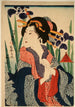 hovineito - Tsukioka Yoshitoshi — näkymä teoksesta