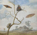 Un hanneton sur une branche, deux papillons, un papillon de nuit ja un petit scarabée au-dessus ja un paysage derrière - Margareta de Heer — näkymä teoksesta