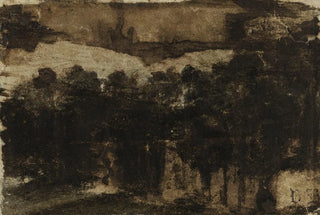 Victor Hugo - Rideau darbres au bord de leau.webp