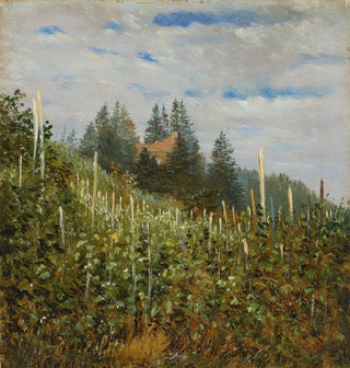 Vignoble à Pillnitz au début de l'été - Carl Gustav Carus