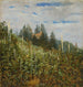 Vignoble d'été à Pillnitz - Carl Gustav Carus — näkymä teoksesta