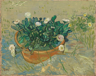 Vincent van Gogh - Daisies Arles.webp