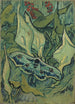 Papillon empereur - Vincent van Gogh — näkymä teoksesta
