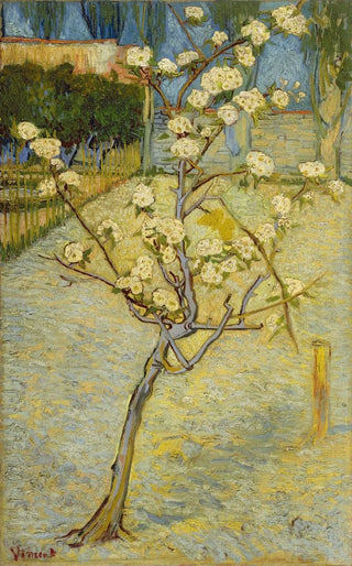 Vincent van Gogh - Small pear tree in blossom.webp