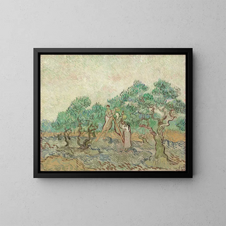 Vincent van Gogh - The Olive Orchard.webp