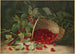 Framboise-maalaus - Virginia Granberry — näkymä teoksesta