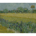 Maalauksen jäljennös Vue d'Arles avec des iris - Vincent van Gogh