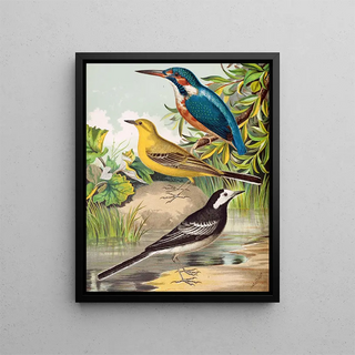 W A Blakston - Kingfisher Wagtails.webp