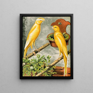 W A Blakston - Lancashire CoppiesYellow Plainhead Cock And Buff Coppy Hen.webp