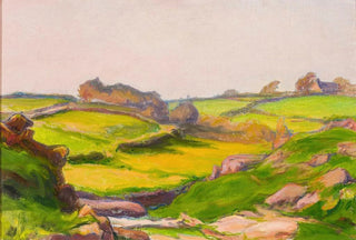 Wadysaw lewiski - Field in Janowiec.webp